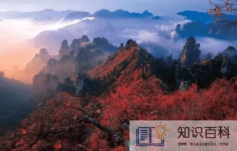 张家界自由行好还是跟团1