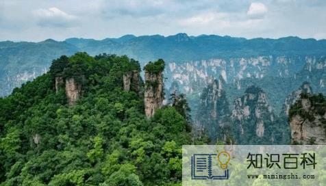 张家界自由行好还是跟团3