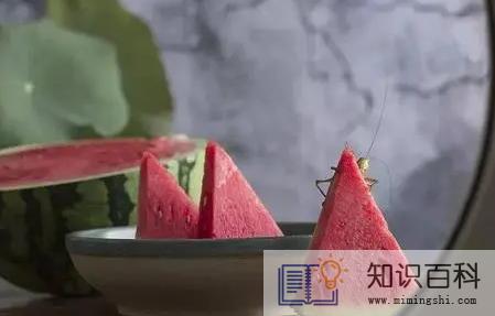 三伏天2022从什么时候开始至结束1