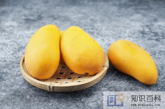 吃芒果的7大禁忌1