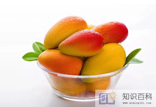 吃芒果的7大禁忌2