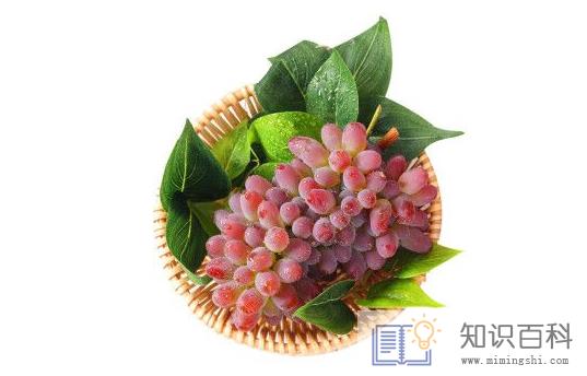 茉莉香葡萄吃多了会上火吗3