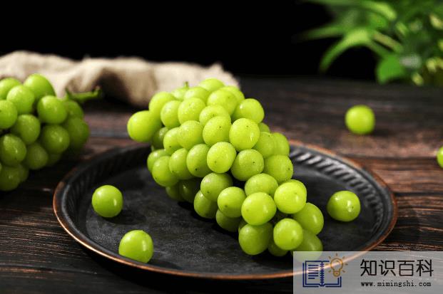 阳光玫瑰葡萄太甜打甜蜜素了吗1