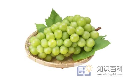阳光玫瑰葡萄放冰箱能保存多久2