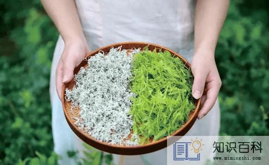 莓茶龙须的好还是嫩芽的好1