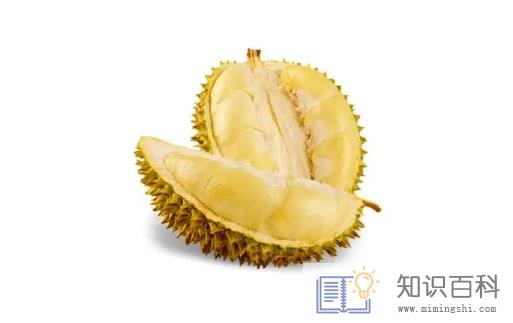 榴莲有酒精味吃了会怎么样2