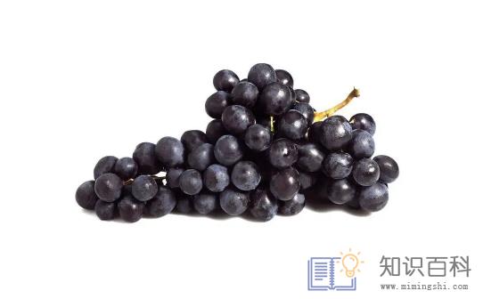 茉莉香葡萄和玫瑰香葡萄哪个好1