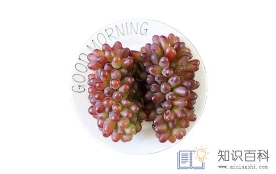 茉莉香葡萄和玫瑰香葡萄哪个好3