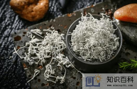莓茶能降尿酸吗2
