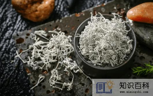 莓茶是新茶好还是陈茶好1