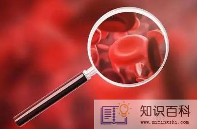 贫血吃什么最好最快的补血1
