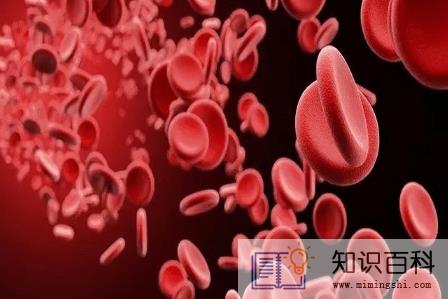 贫血吃什么最好最快的补血2