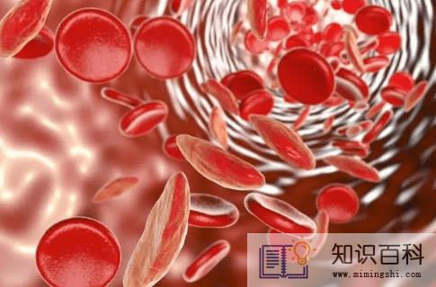 贫血吃什么最好最快的补血4