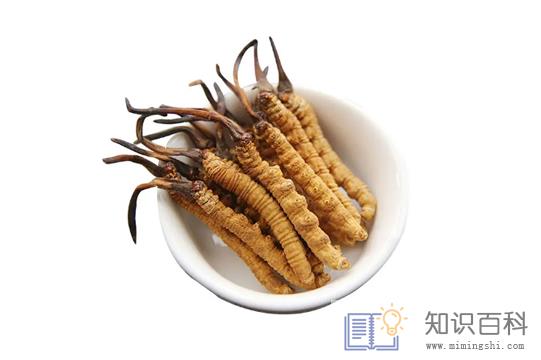 冬虫夏草不适合哪些人吃1