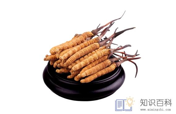 冬虫夏草不适合哪些人吃2