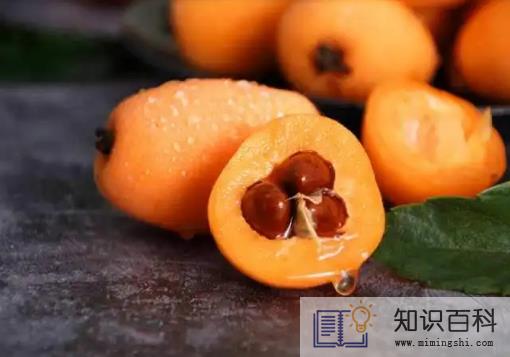 枇杷怎么样才算坏了1