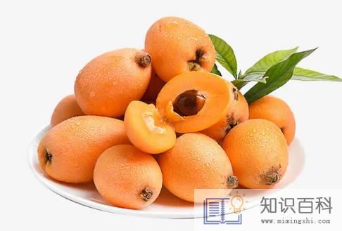 枇杷怎么样才算坏了2