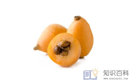 枇杷怎么样才算坏了3