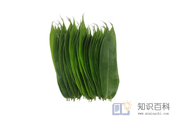 粽叶大的好还是小的好1