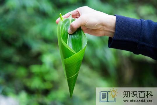 粽叶大的好还是小的好3