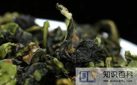 铁观音是红茶还是绿茶2