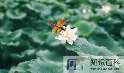 2022夏至后雨水会多吗1