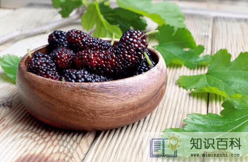 洗桑葚的水很黑桑葚还能吃吗3