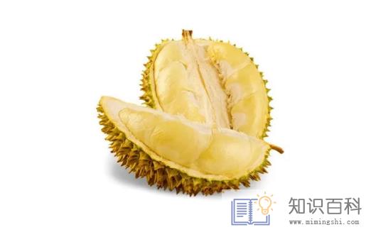 榴莲怎么样算熟了可以吃了3