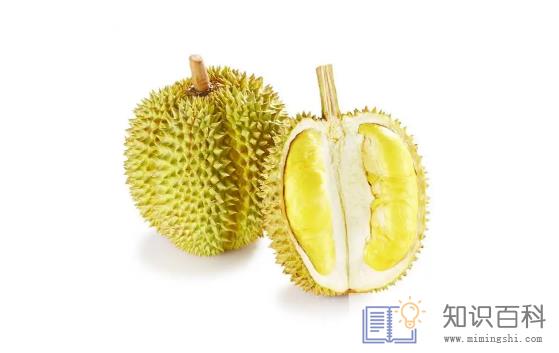 减肥期间吃了一小块榴莲可以吗2