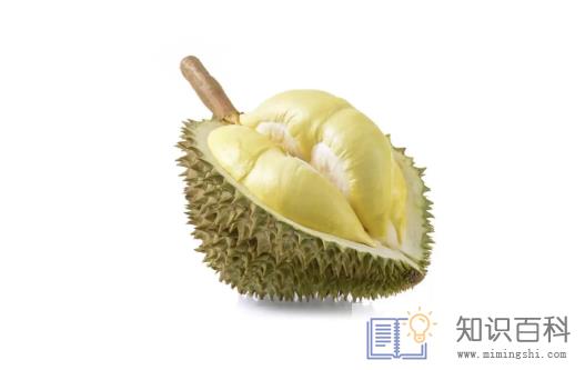 减肥期间吃了一小块榴莲可以吗4