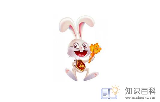 2023年兔宝宝是什么命1