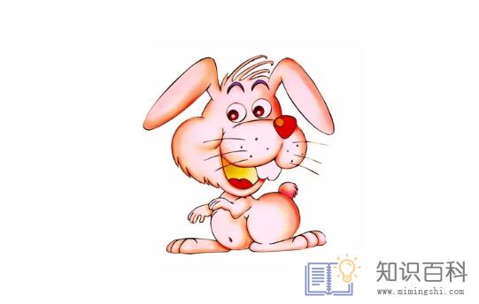 2023年兔宝宝是什么命3