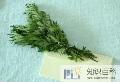 艾草可以熏肚脐吗 1