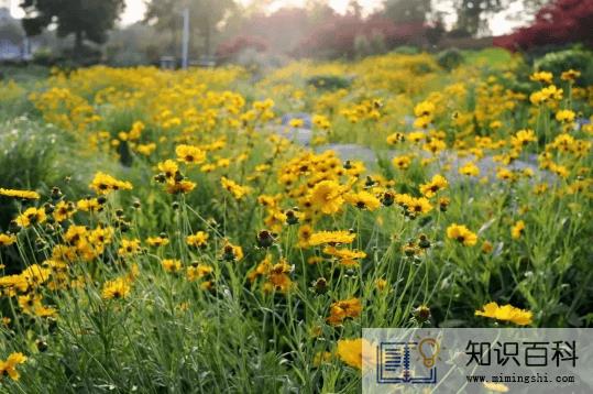 2022年6月有什么节日和纪念日3