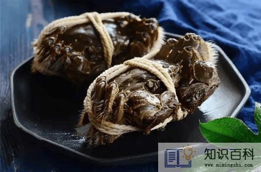 螃蟹吃什么食物好养活和长大1
