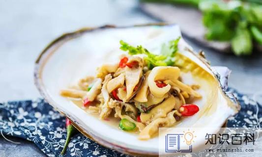 河里的河蚌可以吃吗1