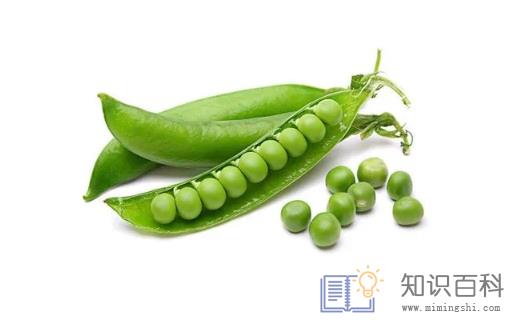 豌豆发芽了还可以吃吗4