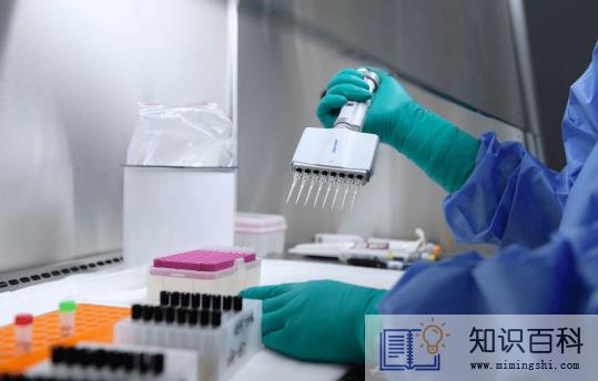48小时核酸检测不能老早做吗3