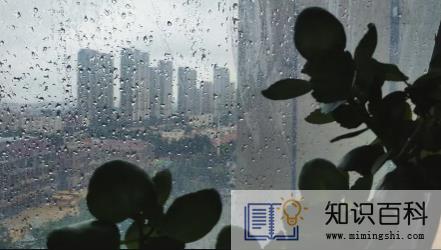 2022年厦门三月份雨水多吗2