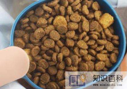 猫粮粗脂肪含量多少合适3