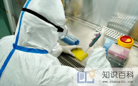 年后回厦门要提供48h核酸检测报告吗20223