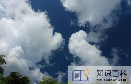 2022年厦门春节期间天气是多少度1