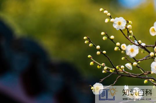 躲春过了两个小时就可以见人了吗1
