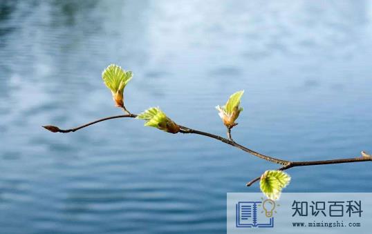 躲春过了两个小时就可以见人了吗2
