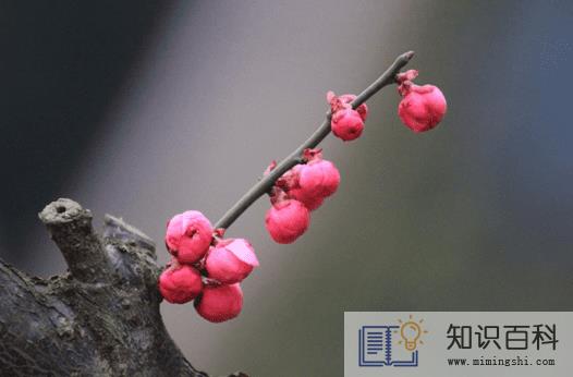 躲春是两个时段都躲吗还是一个时段就行1