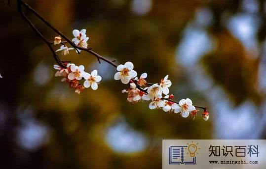 躲春是两个时段都躲吗还是一个时段就行2