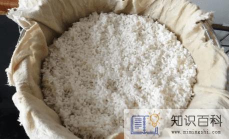 米酒发酵几天开始加水1