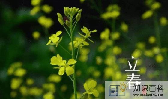 躲春可以听相声吗3