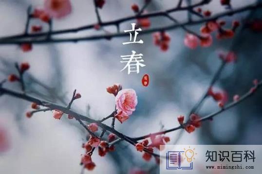 躲春就躲几分钟可以吗1