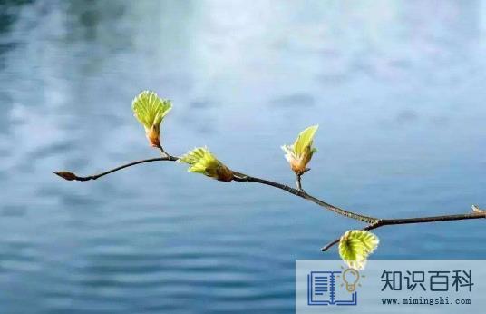 躲春就躲几分钟可以吗3